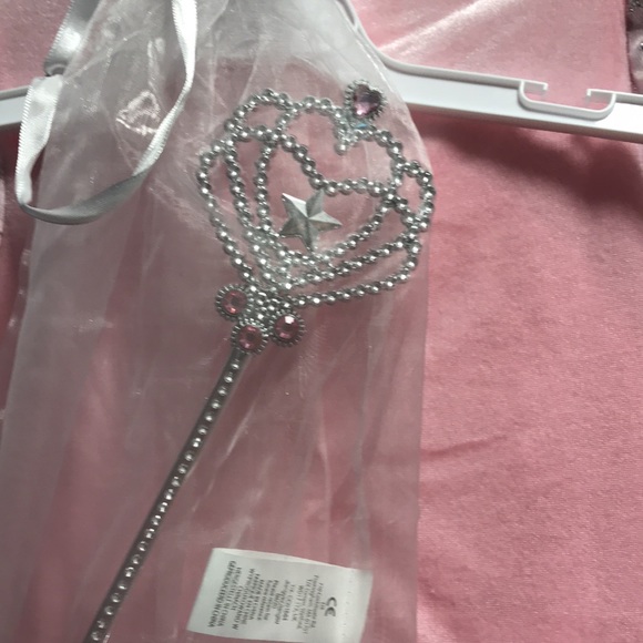 Gorgeous 4pc Princess costume - Picture 6 of 6